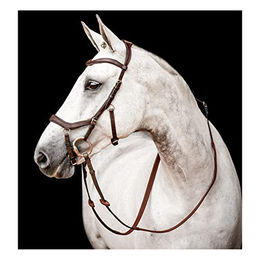 Horseware Micklem 2 Reitzaum mit Gummizügeln – Bild 1 von 4