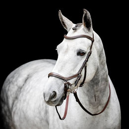 Produktbild von Horseware Micklem Bitless Bridle