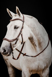 Horseware Micklem II Deluxe Competition Zaumzeug mit Zügel – Bild 1 von 3