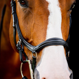 Produktbild von Horseware Micklem II Diamante Competition Bridle