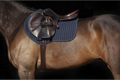 Produktbild von Horseware Micklem Long Comfort Girth