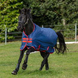 Produktbild von Horseware Mio Turnout Lite 0g - Dark Blue & Red