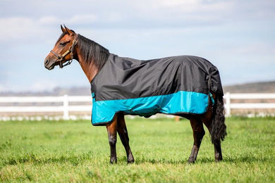 Produktbild von Horseware Mio Turnout Lite Pferdedecke - 1 Stk.