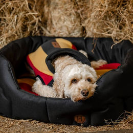 Produktbild von Horseware Newmarket Dog Fleece
