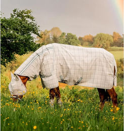 Horseware Newmarket Fliegenhaube – Bild 1 von 3