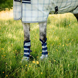 Horseware Newmarket Fliegenstiefel – Bild 1 von 3