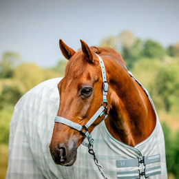 Horseware Newmarket Headcollar & Leadrope – Bild 1 von 8