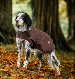 Produktbild von Horseware Newmarket Heritage Dog Coat