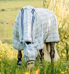 Horseware Newmarket Pony Plus Fliegendecke – Bild 1 von 8