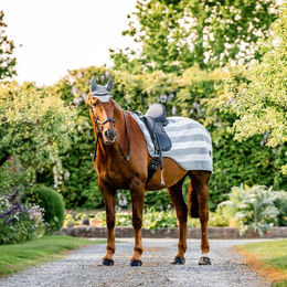 Produktbild von Horseware Newmarket Übungsdecke - 1 Stk.
