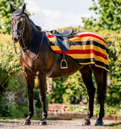 Horseware Newmarket Übungsdecke - 1 Stk. – Bild 1 von 6