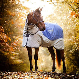 Produktbild von Horseware Rambo Autumn Series V3 0g + 100g Liner