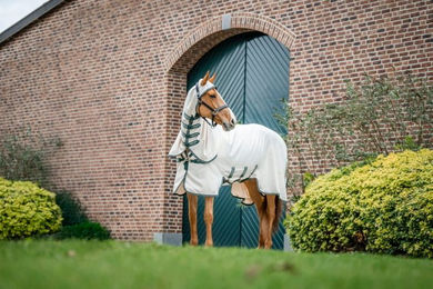 Horseware Rambo Hoody Ekzemerdecke – Bild 1 von 3