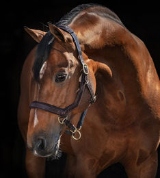 Produktbild von Horseware Rambo Micklem Lederhalfter Braun