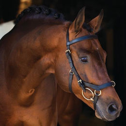 Produktbild von Horseware Rambo Micklem Multibridle 3 in 1 Trense Zaum - 1 Stk.