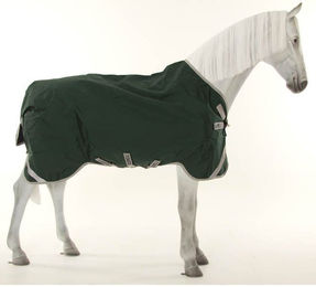 Produktbild von Horseware Rambo Original Turnout lite 0g - green/silver