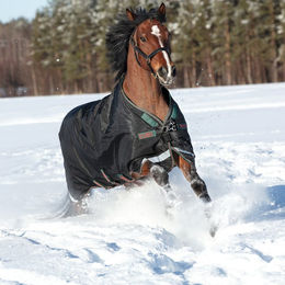 Produktbild von Horseware Rambo Original Turnout Medium 200g