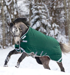 Produktbild von Horseware Rambo Original with Leg Arches Turnout Heavy 400g