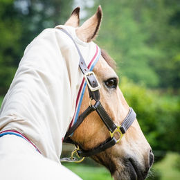 Produktbild von Horseware Rambo Pony Hoody