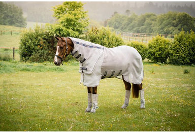 Horseware Rambo Protector Fliegendecke für Pferde – Bild 1 von 7