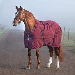 Horseware Rambo Stable Rug 100g - Burgundy/Burgundy – Bild 1 von 8