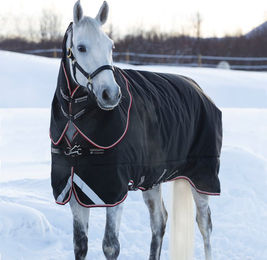 Produktbild von Horseware Rambo Supreme Turnout Heavy 420g