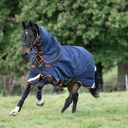 Produktbild von Horseware Rambo Supreme Turnout Lite 50g Navy/Orange