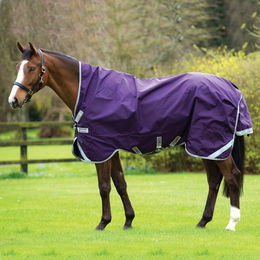 Horseware Rambo Wug Turnout Lite 0g - Dark Purple – Bild 1 von 6