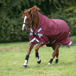 Produktbild von Horseware Rambo Wug Turnout Lite 50g Burgundy