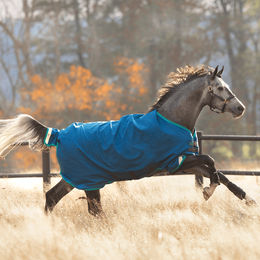 Produktbild von Horseware Rhino Original Turnout Lite 0g