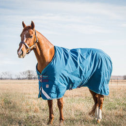 Produktbild von Horseware Rhino Original Turnout Medium Vari Layer 250g