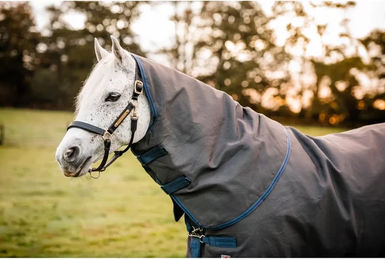 Produktbild von Horseware Rhino Plus HexStop Weidedecke 250g - 250 g