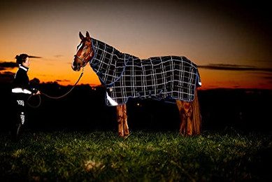 Produktbild von Horseware Rhino Plus Reflectech Turnout 250g