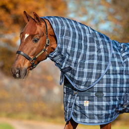 Produktbild von Horseware Rhino Stable Hood 150g - 150 g