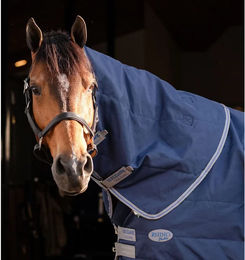 Produktbild von Horseware Rhino Stable Hood - 100 g