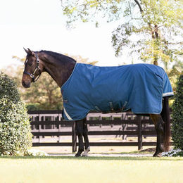 Horseware Rhino Turnout 100g Weidedecke - 100 g – Bild 1 von 4