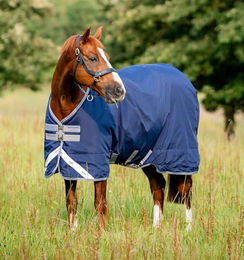 Produktbild von Horseware Rhino Turnout 250g VL