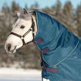 Produktbild von Horseware Rhino Turnout Hood 150g Navy/Grey