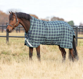 Produktbild von Horseware Rhino Wug Turnout Lite 100g