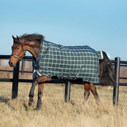 Produktbild von Horseware Rhino Wug Turnout Medium