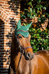 Produktbild von Horseware Signature Fliegenohren