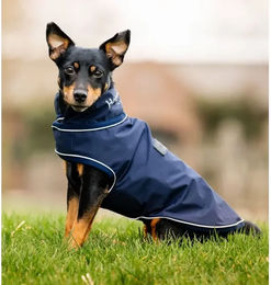 Produktbild von Horseware Signature Hunde-Regenmantel
