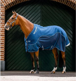 Horseware Signature Transportdecke 50g - 1 Stk. – Bild 1 von 4