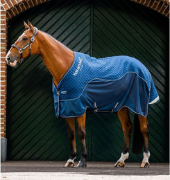 Produktbild von Horseware Signature Travel Cooler