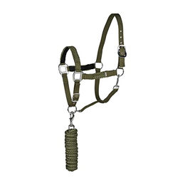 Produktbild von HORZE Halfter Chicago für Pferd und Pony verstellbar mit Führstrick