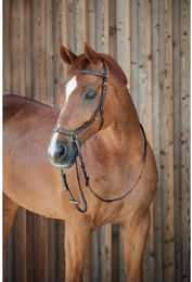 Produktbild von HORZE Pferde Trense Orlando anatomisch gebisslos Braun F