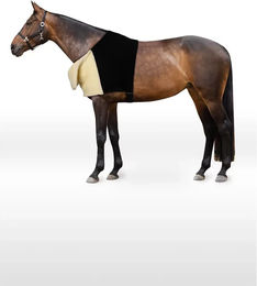 Horze Schulterschutz für Pferde Komfort – Bild 1 von 9