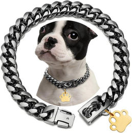 Produktbild von HS.SUPPLY Edelstahl Hundehalsband mit Leine
