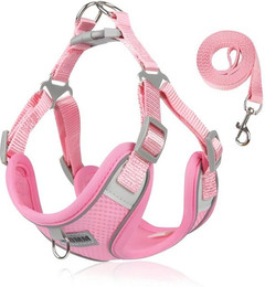 Produktbild von HS.SUPPLY Hunde-Geschirr Atmungsaktives Hundegeschirr mit Leine, Verstellbar & reflektierend, auch für Katzen geeignet, inklusive Leine