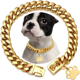Produktbild von HS.SUPPLY Hunde-Halsband und Hundeleine aus Edelstahl